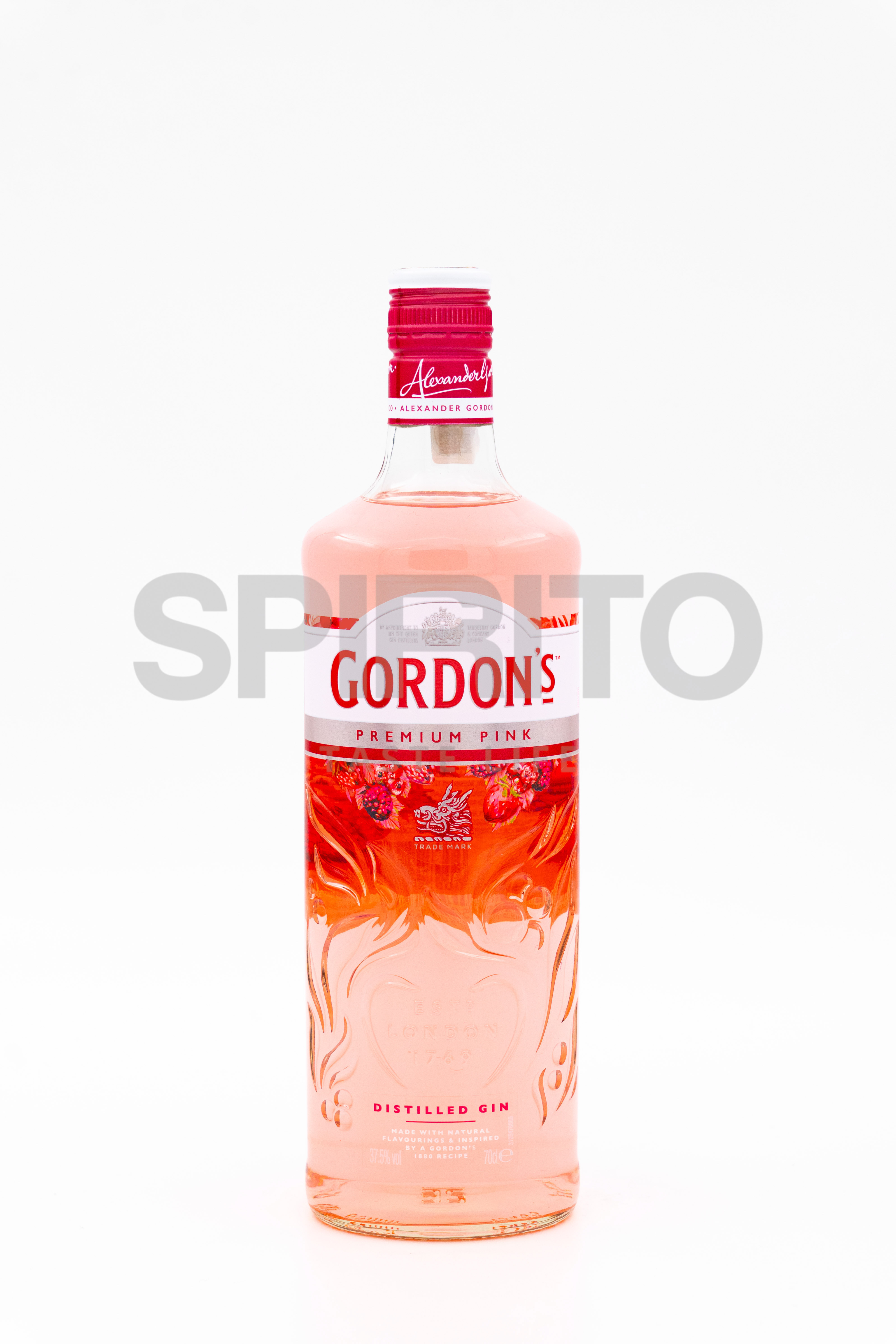 GORDON