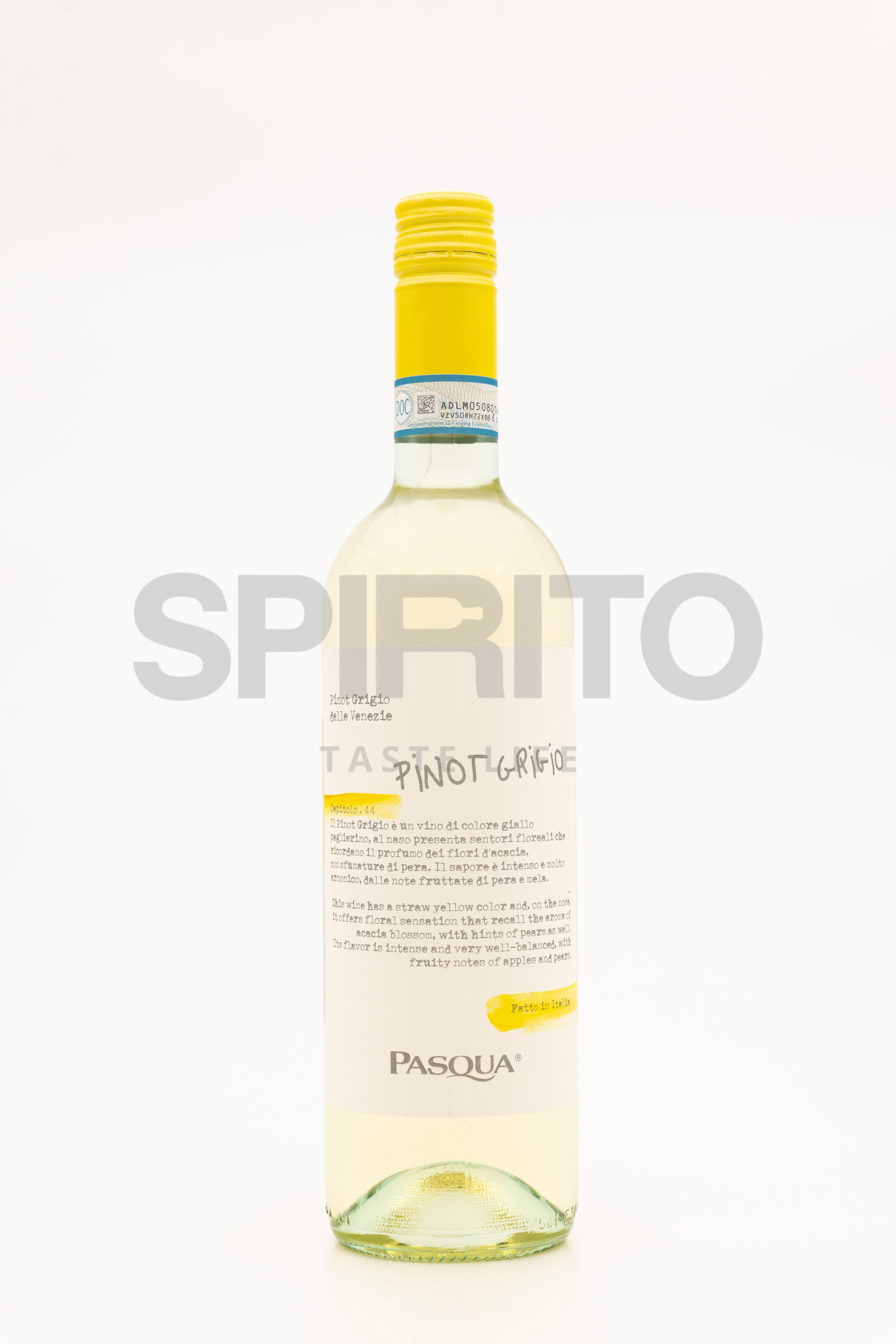 PASQUA PINOT GRIGIO DELLE VENEZIE DOC 12% ALC 750 ML
